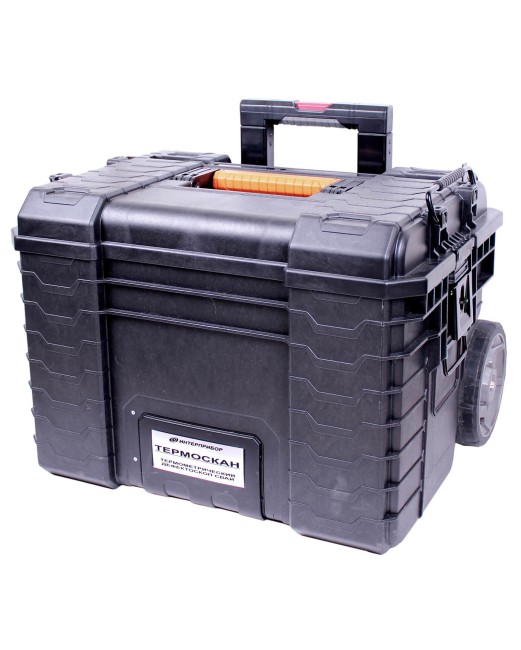 Термометрический дефектоскоп буронабивных свай ТЕРМОСКАН