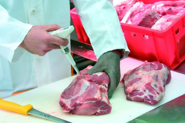 Комплект Testo 105 с зондом для замороженных продуктов Комплект Testo 105 с зондом для замороженных продуктов